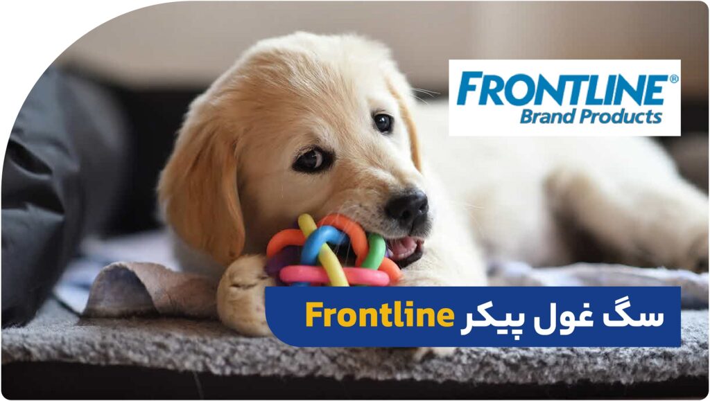 سگ غول پیکر Frontline
